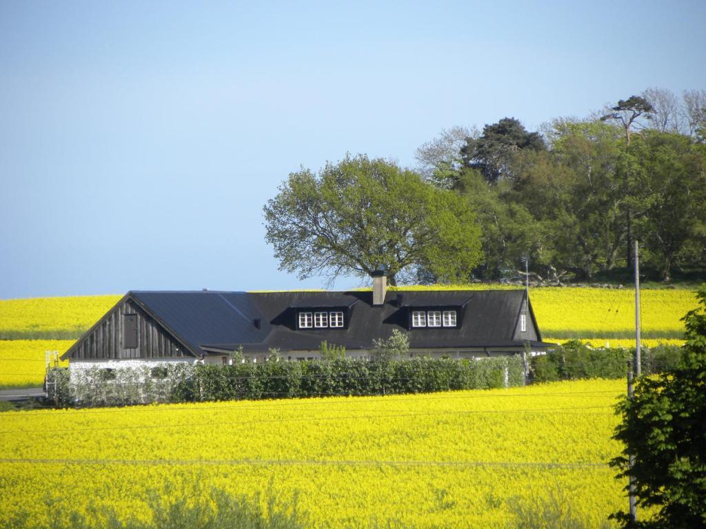 Glimminge Bed & Breakfast Simrishamn Exterior photo